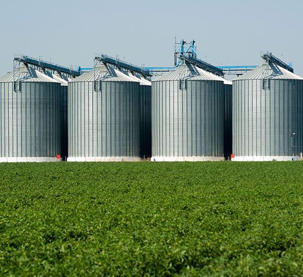 AGRICULTURE